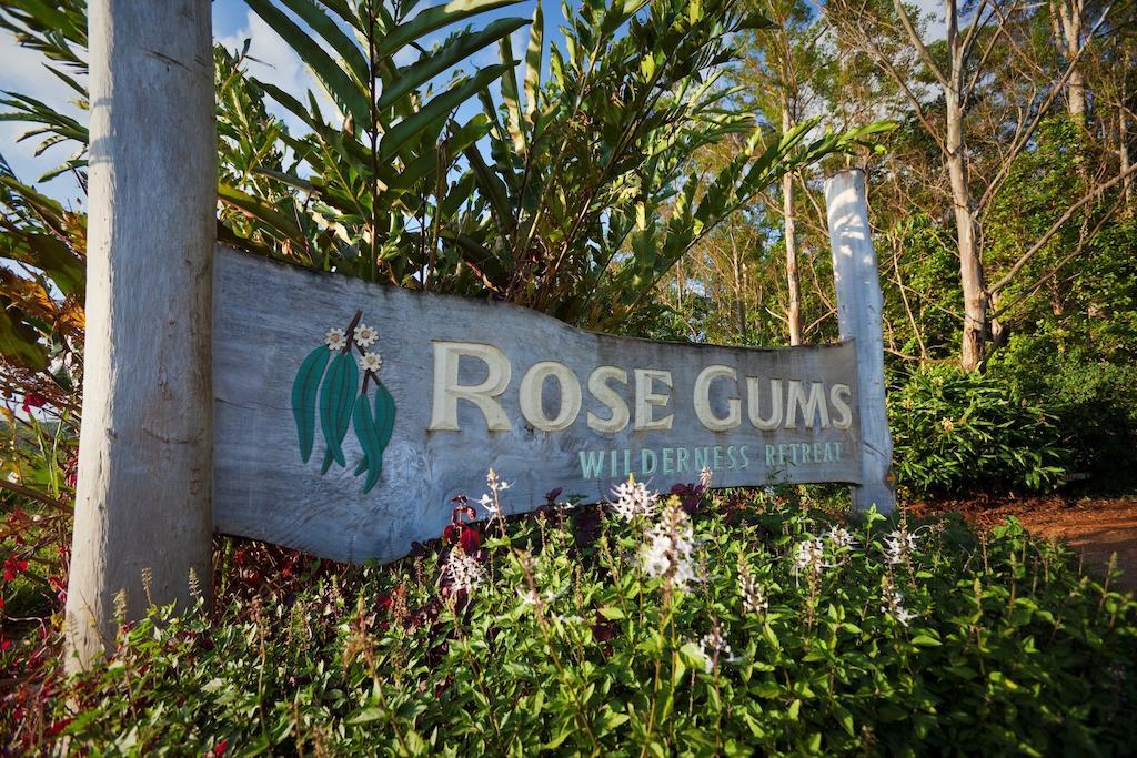Rose Gums Wilderness Retreat Villa Butchers Creek Exteriör bild